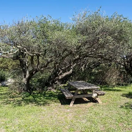 In Zona Esclusiva Accesso Sul Mare * Porto Rotondo